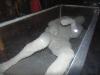 DSC01417.JPG