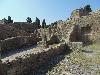 DSC01424.JPG