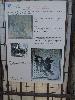 DSC01464.JPG
