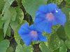 DSC01484.JPG