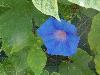 DSC01485.JPG