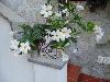 DSC01490.JPG