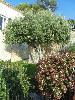 DSC01504.JPG