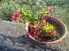 DSC01507.JPG