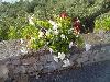 DSC01508.JPG