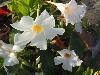 DSC01510.JPG