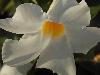 DSC01511.JPG