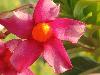 DSC01512.JPG