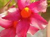 DSC01513.JPG