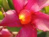DSC01514.JPG