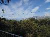DSC01549.JPG