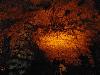 DSC01554.JPG