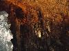 DSC01558.JPG