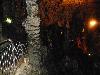 DSC01570.JPG