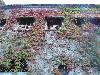 DSC01578.JPG