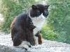 DSC01580.JPG