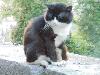 DSC01581.JPG