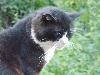 DSC01583.JPG