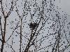 DSC01589.JPG