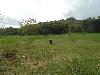 DSC01592.JPG