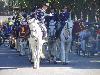 DSC01635.JPG