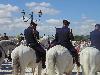 DSC01638.JPG
