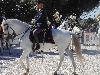 DSC01643.JPG