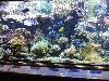 DSC01684.JPG