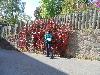 DSC01690.JPG