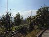 DSC01692.JPG