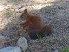DSC01694.JPG