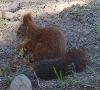 DSC01695.JPG