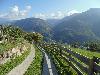 DSC01703.JPG