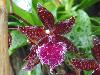 DSC01712.JPG
