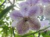 DSC01714.JPG