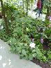 DSC01721.JPG