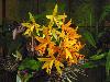 DSC01726.JPG