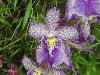 DSC01728.JPG