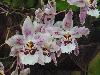 DSC01729.JPG