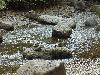 DSC01734.JPG