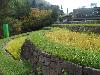 DSC01740.JPG