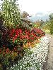 DSC01741.JPG