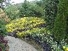 DSC01742.JPG