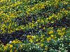 DSC01743.JPG