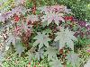 DSC01744.JPG