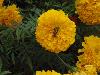 DSC01745.JPG