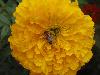DSC01746.JPG