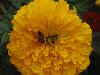 DSC01747.JPG