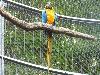 DSC01750.JPG