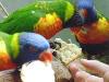 DSC01752.JPG